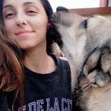 Dimitra