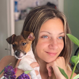Nikol