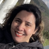 Setareh
