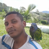 Gustavo