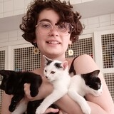 Katia