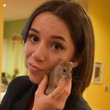 Amélie