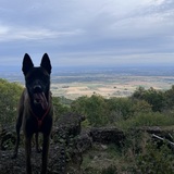 Lucie