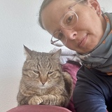Sybille
