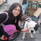 Aylin