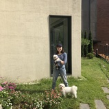 Suji