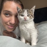 Emilia