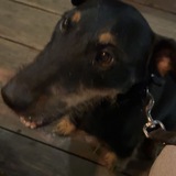 Leni