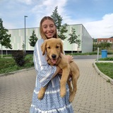 Jule