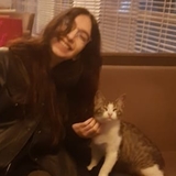 Bahar