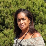 Odalys Violeta