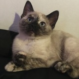 Tina