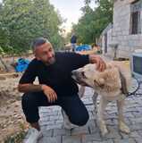 Ferhat