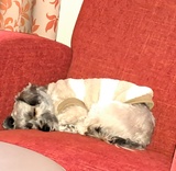Sabine