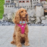 Olena