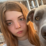 Ginevra