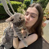 Sophia
