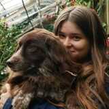 Jule