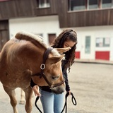 Catarina