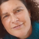 Antonieta
