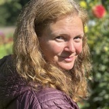 Corina
