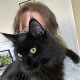 Lila