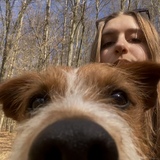 Carolin
