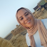 Siham