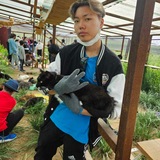 Arigun