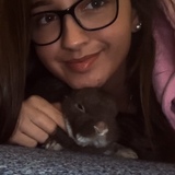 Zoi