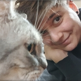 Sara