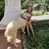 Carlotta