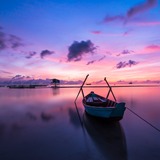 Hoang Phung