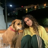 Inês