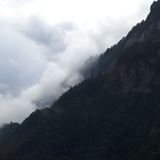 Lejla