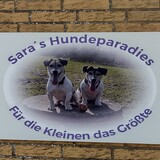 Sara