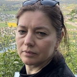 Šahiza