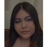 Brisa
